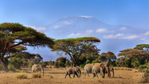 El Kilimanjaro desde Amboseli