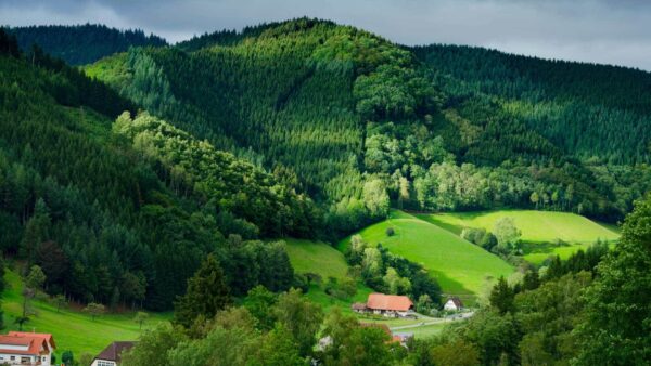 Baviera y Selva Negra