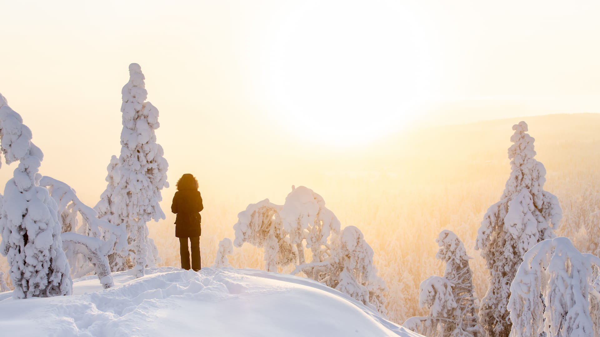 Invierno en Finlandia. Foto: Vuokatti DMO.