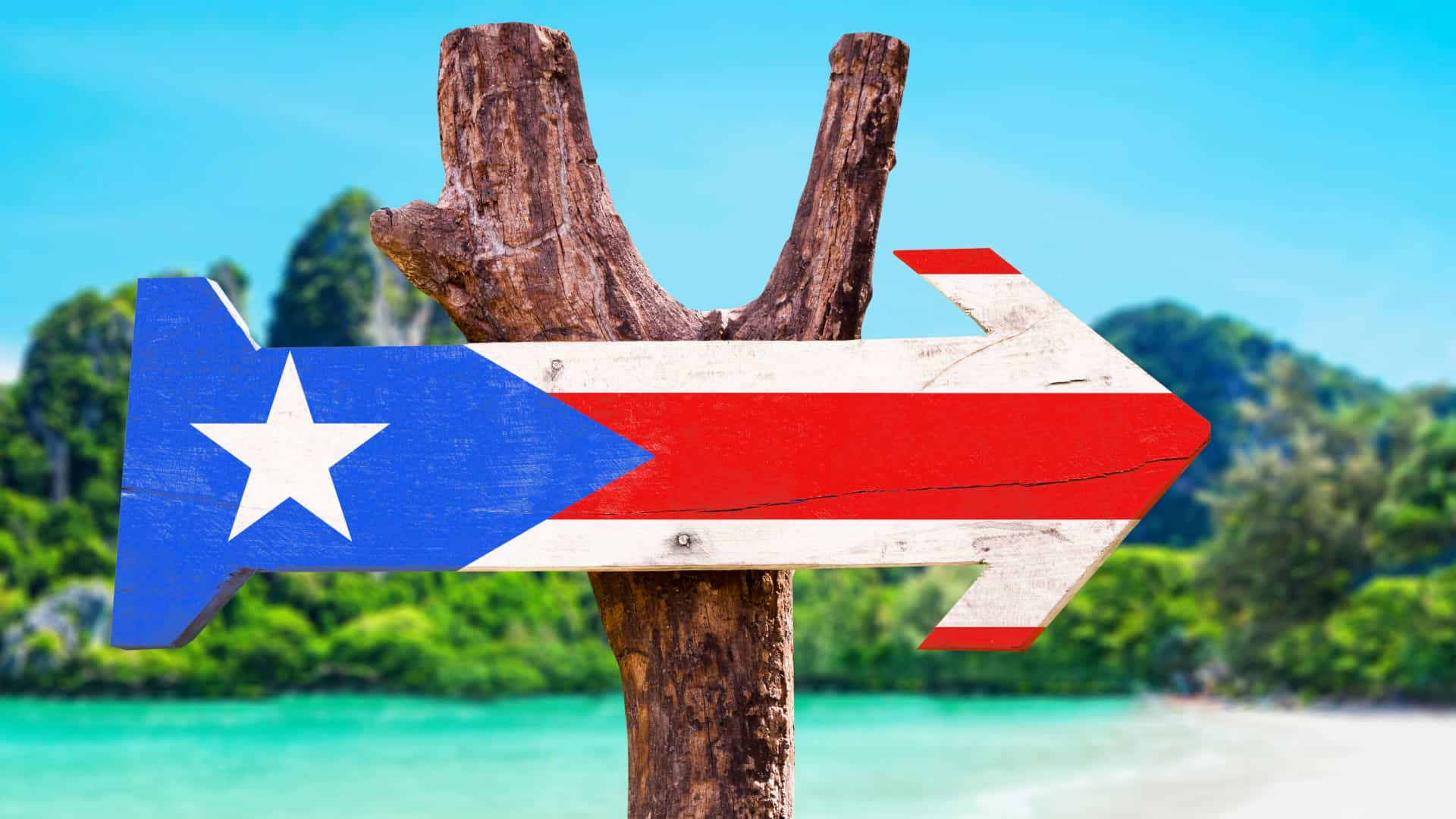 Curiosidades de Puerto Rico que te sorprenderán Tourist Forum