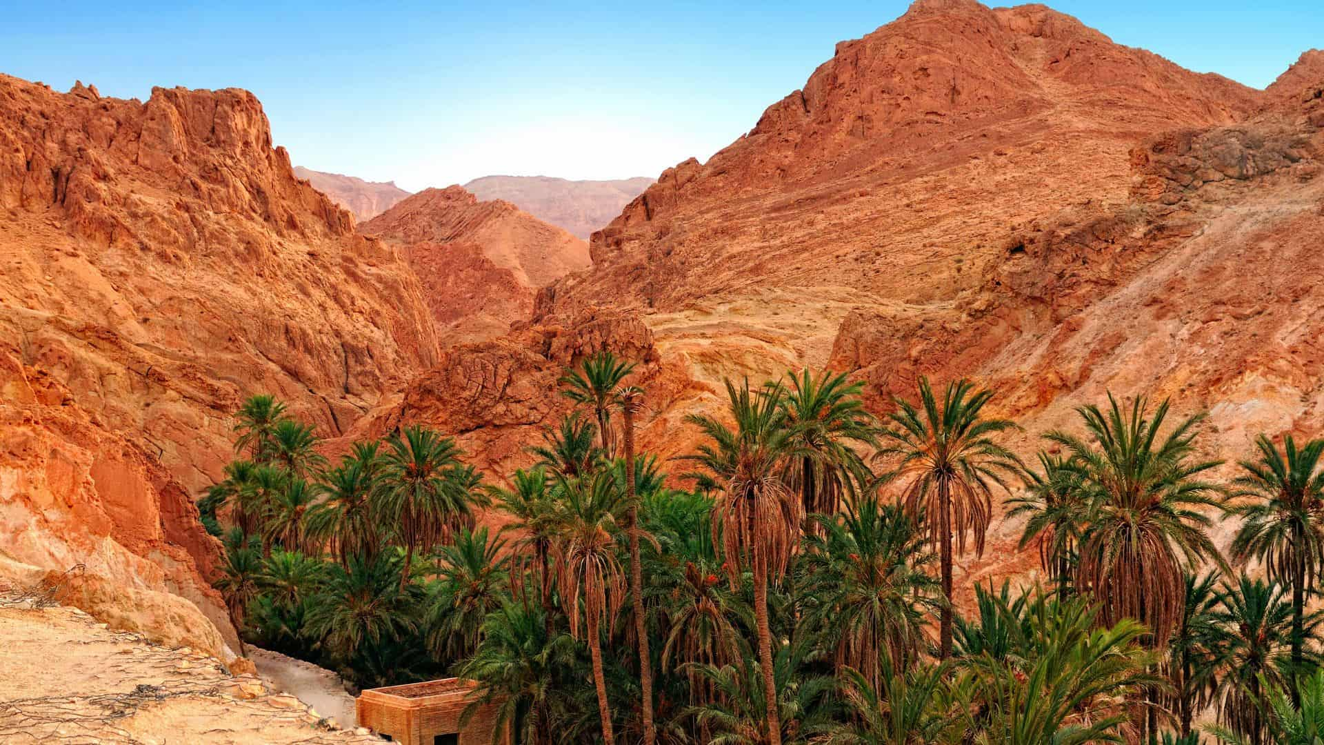 Oasis de Montaña de Chebika