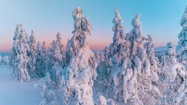 Paisajes nevados en Laponia