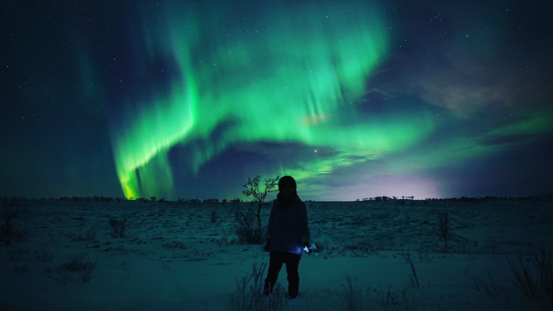 Aurora Boreal en Alta © Æventyr